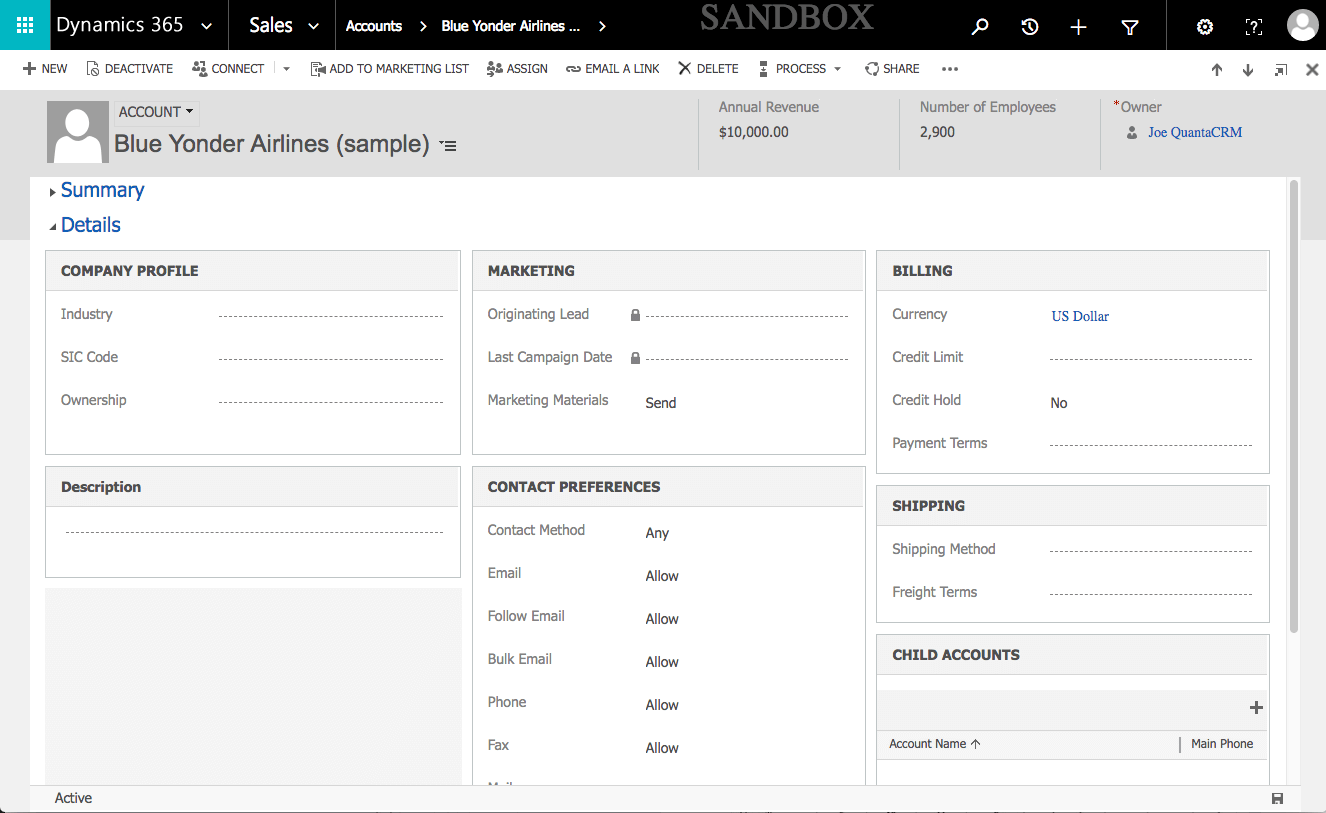 Microsoft Dynamics 365 Account Detail