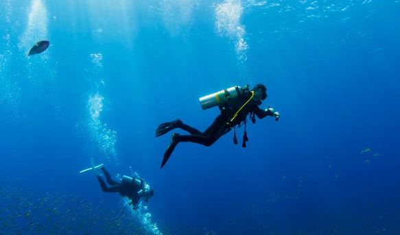 Searching for CRM in a sea of choices