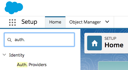 Salesforce Setup Search: Auth. Providers