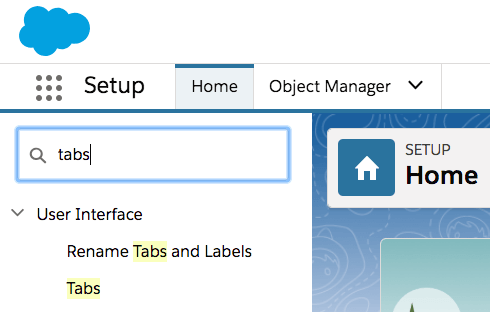 Salesforce Setup Search Tabs